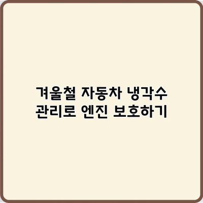 겨울철 자동차 냉각수 관리로 엔진 보호하기
