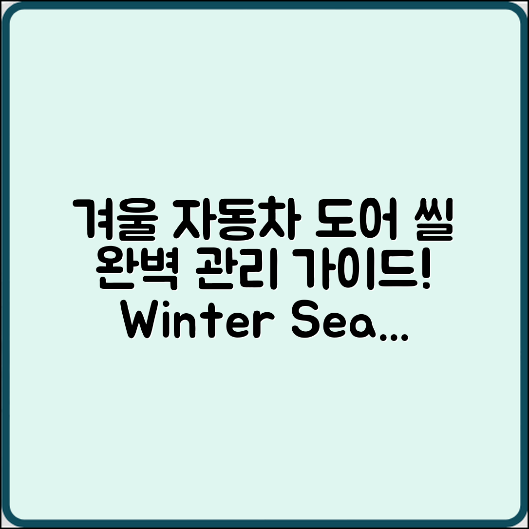 겨울철 자동차 도어 씰 관리 완벽 가이드