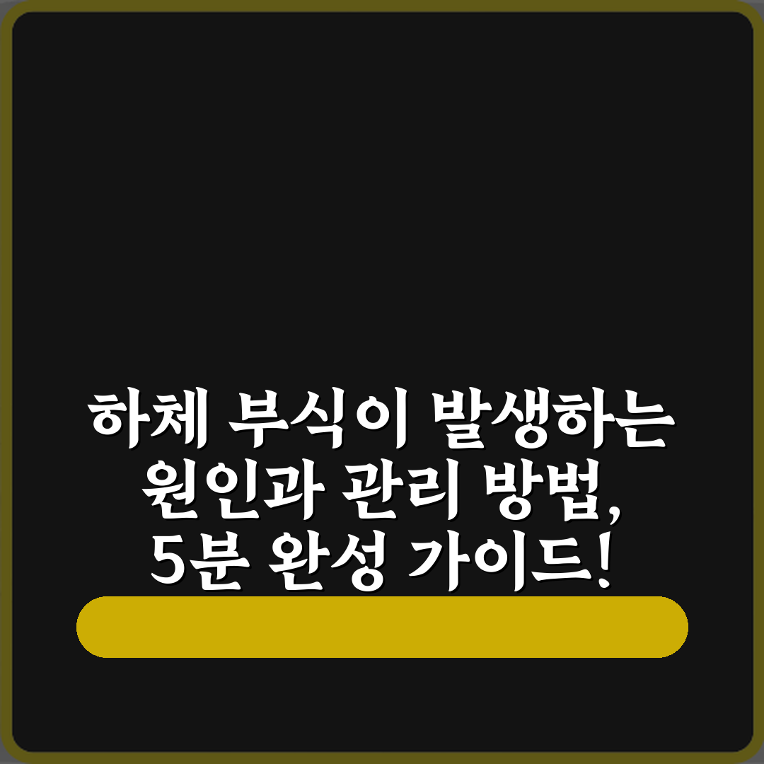 하체 부식이 발생하는 원인과 관리 방법, 5분 완성 가이드!